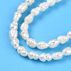 Natural Cultured Freshwater Pearl Beads Strands PEAR-N012-02X-4