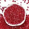 6/0 Spray Paint Glass Seed Beads X1-SEED-H003-11F-3