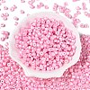 Baking Paint Pearlized Glass Seed Beads SEED-T008-03H-2