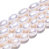 Natural Cultured Freshwater Pearl Beads Strands PEAR-N012-08O-1