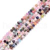 Natural Mixed Stone Faceted Beads Strands G-K311-46C-1