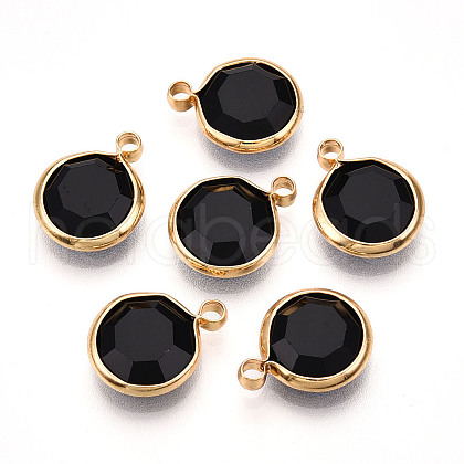 K9 Glass Charms X1-GLAA-T023-37A-01-1
