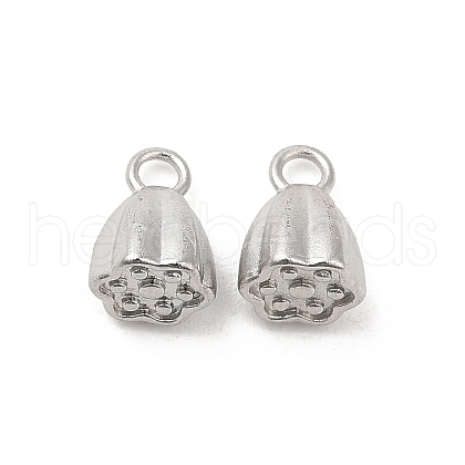 304 Stainless Steel Charms STAS-H214-13P-1
