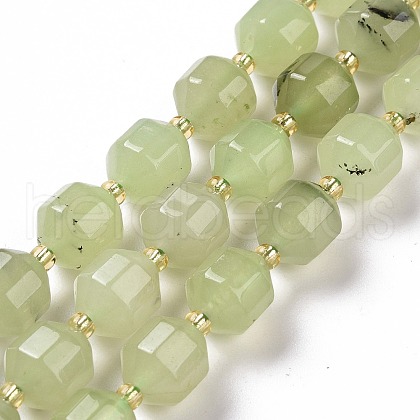 Natural Prehnite Beads Strands G-G990-F09-1