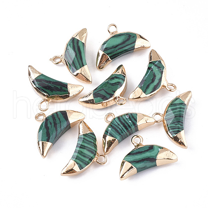 Electroplate Synthetic Malachite Charms G-S344-48G-1
