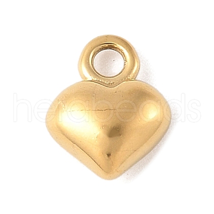 304 Stainless Steel Charms STAS-Q351-01G-B-1
