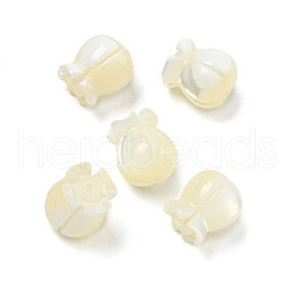 Natural Trochid Shell/Trochus Beads BSHE-NH0001-01-1