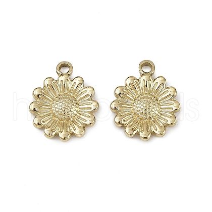 304 Stainless Steel Pendants STAS-D363-06G-1