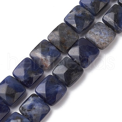 Natural Sodalite Beads Strands G-K359-B07-01-1