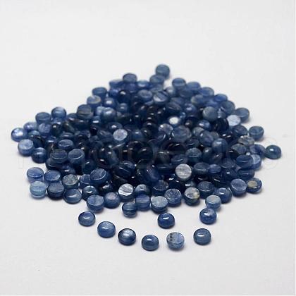 Dome Natural Kyanite/Cyanite/Disthene Cabochons G-O146-01C-1