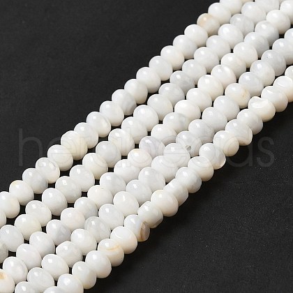 Natural Freshwater Shell Beads Strands BSHE-E026-15A-02-1