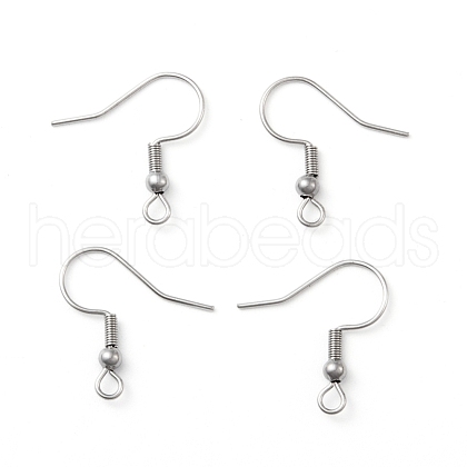316 Surgical Stainless Steel Earring Hooks STAS-N019-02-1