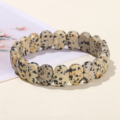 Natural Dalmatian Jasper Oval Bead Stretch Bracelets for Men Women PW-WG50701-08-1