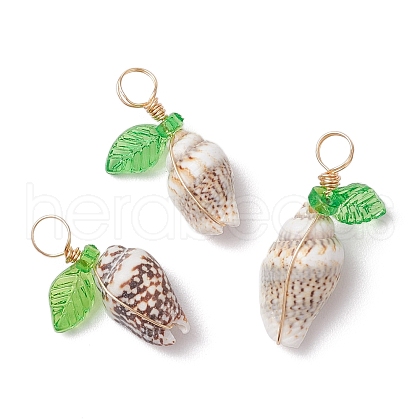 Natural Sea Shell Copper Wire Wrapped Pendants PALLOY-JF03610-03-1