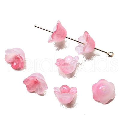 Handmade Lampwork Beads Cap X-PW-WG44676-02-1