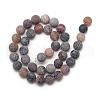 Natural Weathered Agate Bead Strands G-S237-14mm-11-2
