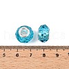 Transparent Glass European Beads GPDL-N004-D14mm-B09-3