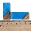 Resin & Wood Pendants WOOD-F015-09C-3