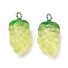 Transparent Resin Fruit Pendants CRES-Z003-02B-1
