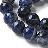 Natural South Africa Sodalite Beads Strands G-S259-35-10mm-5