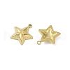 Ion Plating(IP) 304 Stainless Steel Pendants STAS-R233-09G-2