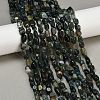 Natural Moss Agate Beads Strands G-Q060-D10-1