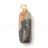 Natural Indian Agate Pendants PALLOY-JF01582-04-2
