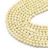 Natural Fossil Beads Strands G-A260-A35-01-3