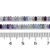 Natural Colorful Fluorite Beads Strands G-P553-F09-02-3
