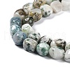 Natural Tree Agate Beads Strands G-C038-02O-4