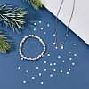 DICOSMETIC 40Pcs 925 Sterling Silver Charms STER-DC0001-40-4
