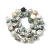 Natural Tree Agate Beads Strands G-U023-A15-01-4
