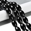 Natural Black Onyx Agate Beads Strands G-NH0019-C05-13-2