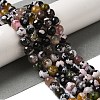 Dyed & Heated Natural Fire Crackle Agate Beads Strands G-P539-C01-05-2