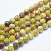 Natural Serpentine Jade Beads Strands G-P353-06-8mm-1