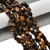 Natural Tiger Eye Beads Strands G-P497-01E-20-2