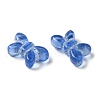 Transparent Lampwork Beads LAMP-P065-02A-19-2