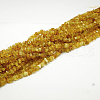Natural Amber Chip Beads Strands G-E333-01B-1