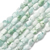Natural Glass Beads Strands G-K395-A02-01-2