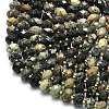 Natural African Turquoise(Jasper) Beads Strands G-P573-A28-01-3