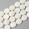 Natural Freshwater Shell Beads Strands X-SHEL-N026-70-1