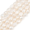 Natural Cultured Freshwater Pearl Beads Strands PEAR-P064-20K-06A-2