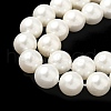 Shell Pearl Beads Strands BSHE-K015-10mm-03-3