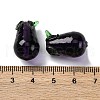 Fruit Series Handmade Lampwork Beads LAMP-R003-04B-4