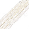 Natural Trochus Shell Beads Strands SSHEL-H070-04-1