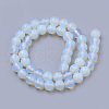 Opalite Beads Strands G-S259-48-12mm-2