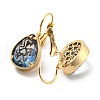 Glass Leverback Earrings EJEW-P269-07KCG-2