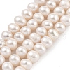 Natural Cultured Freshwater Pearl Beads Strands PEAR-C003-12G-2