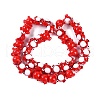 Handmade Lampwork Beads Strands LAMP-P066-07A-3