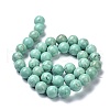 Natural Howlite Beads Strands G-C180-17C-2